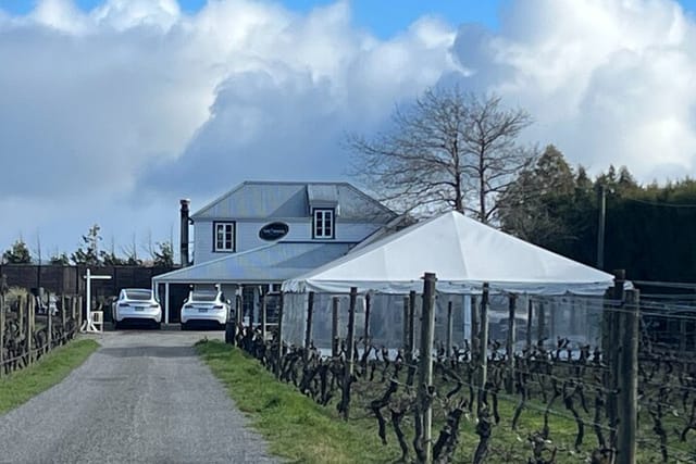 Martinborough High Tea and Wine Tour in Tesla SUVs - Photo 1 of 5